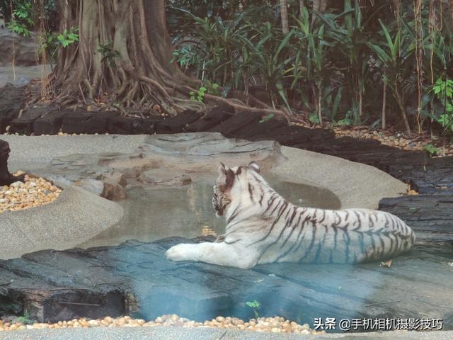 拍照反光！这个困扰你许久的问题，终于有解决办法了