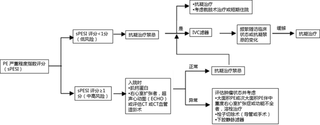 肿瘤相关静脉血栓栓塞症预防与治疗指南（2019 版）中肺栓塞诊断与治疗