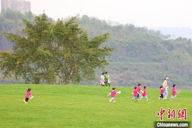 探访长江上游最大江心岛：春意正浓日，踏青正当时