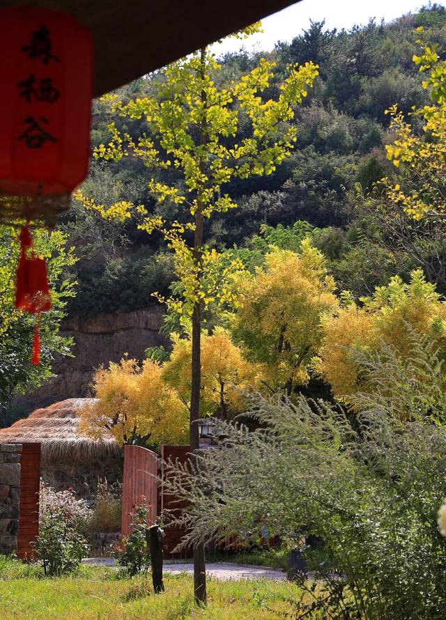 太原市迎泽区：美丽乡村丨董家庄村