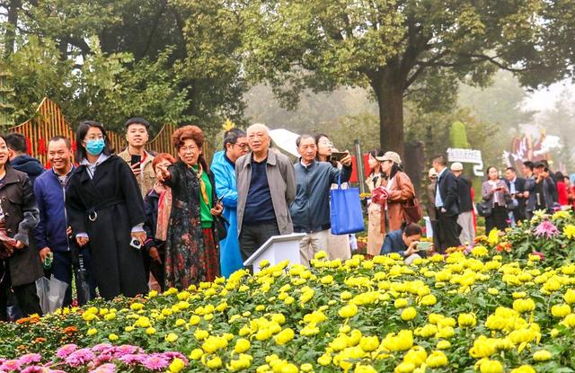 重庆市第25届菊花艺术展在南山植物园开幕 将持续到11月26日