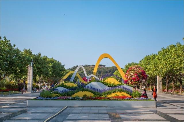 花开鹏城，福地生辉！N张美图带你赏深圳福田春景......