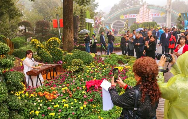 重庆市第25届菊花艺术展在南山植物园开幕 将持续到11月26日