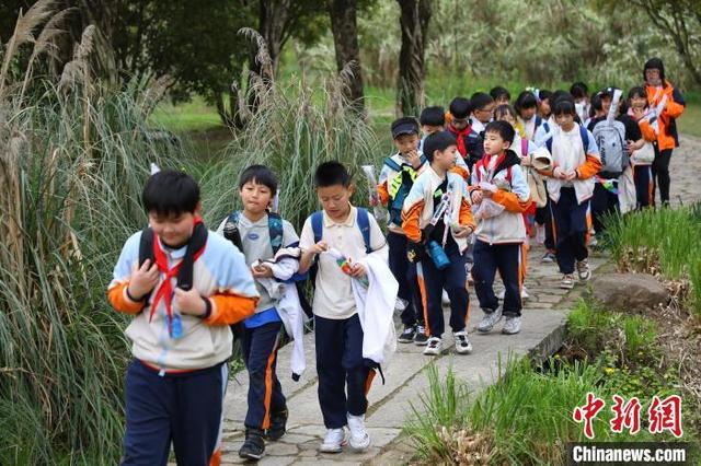 探访长江上游最大江心岛：春意正浓日，踏青正当时