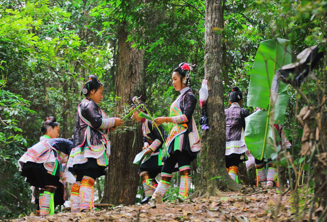 喜马拉雅山的神秘部落：喜欢吃素，无婚姻制度，其繁衍方式很特殊