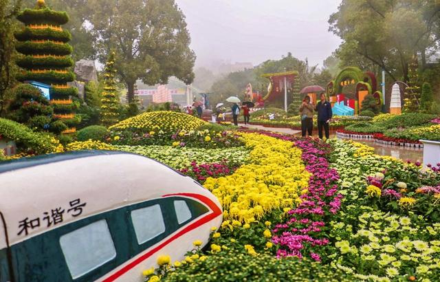 重庆市第25届菊花艺术展在南山植物园开幕 将持续到11月26日