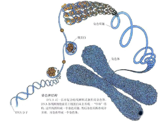 你所未知的毛囊角化症！