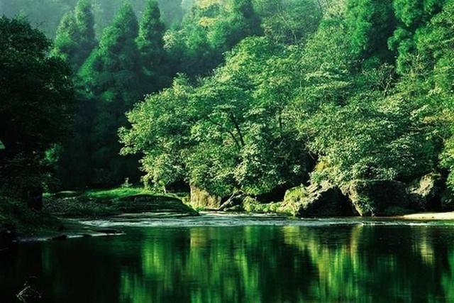 全面阅读｜寒山：隐居深山70年，却迷倒古今中外