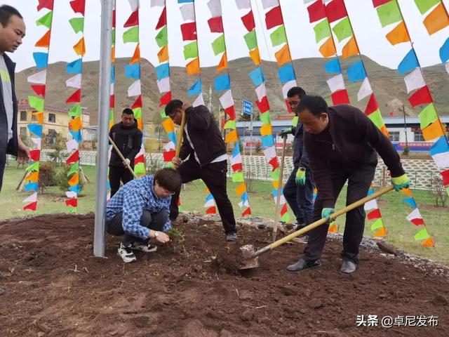 【秘境卓尼·生态完冒】完冒镇全州重点工作现场观摩感悟