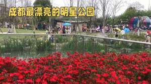 天府芙蓉园-探寻文化与自然的完美融合：天府芙蓉园的魅力之旅