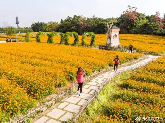 广州花景大片！这些绝佳赏花地，光看图就美翻了~