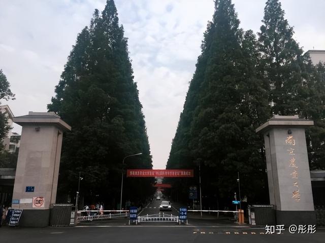 70后眼中的大学029之南京农业大学