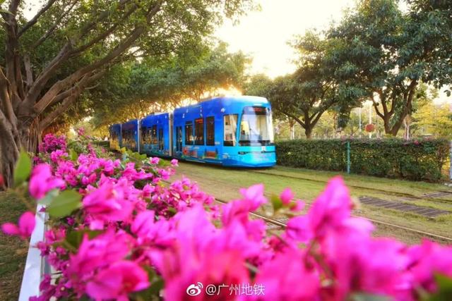 广州花景大片！这些绝佳赏花地，光看图就美翻了~