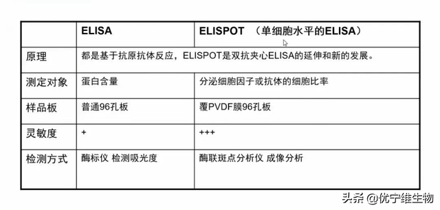 ELISPOT技术｜疫苗免疫效果评价的有效工具