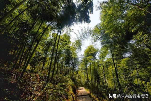 大别山，坐落于鄂豫皖三省交界处，为啥大家都说是“安徽大别山”