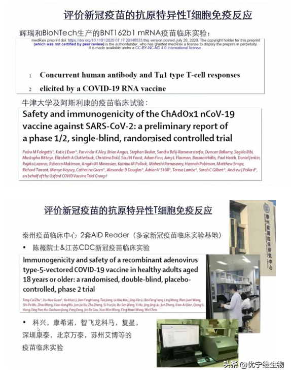 ELISPOT技术｜疫苗免疫效果评价的有效工具