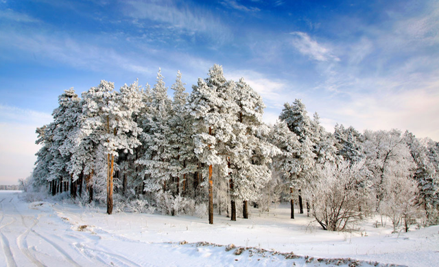 四川辣妹子闪耀哈尔滨冰雪大世界，引发公众关注！