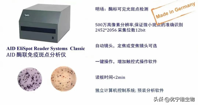 ELISPOT技术｜疫苗免疫效果评价的有效工具