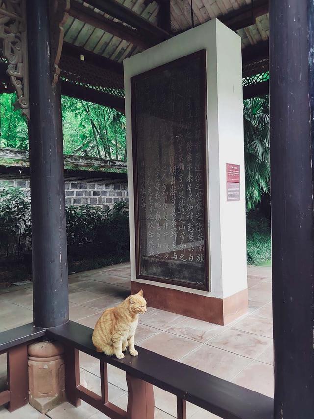 去眉山看东坡：何等水土，养育这等人物