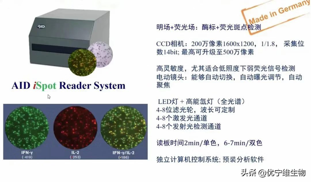 ELISPOT技术｜疫苗免疫效果评价的有效工具