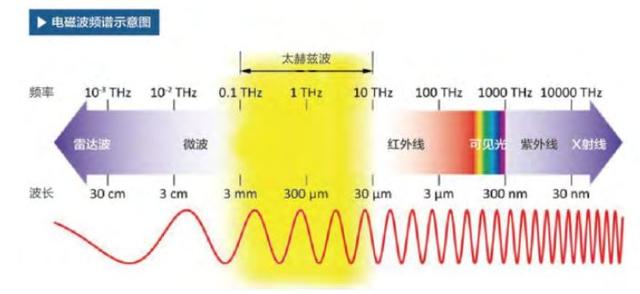 一家中国头部企业被美国制裁，就因为这个“王炸级”颠覆性技术！太赫兹有多牛