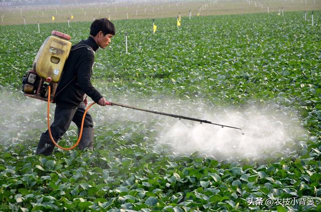 防治作物病毒病、细菌和真菌病害，这4种抗生素类生物农药就很好