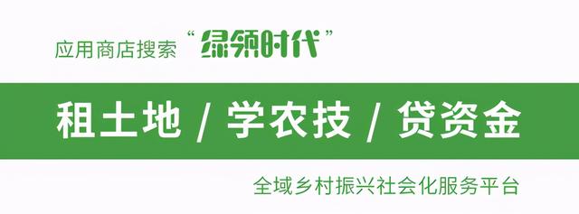 数字乡村与智慧乡村区别和联系在哪里