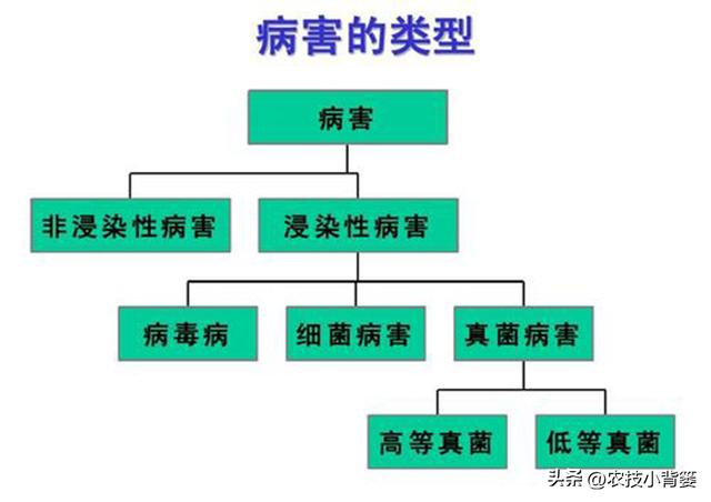 防治作物病毒病、细菌和真菌病害，这4种抗生素类生物农药就很好