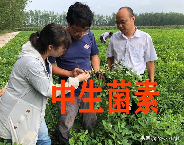 防治作物病毒病、细菌和真菌病害，这4种抗生素类生物农药就很好