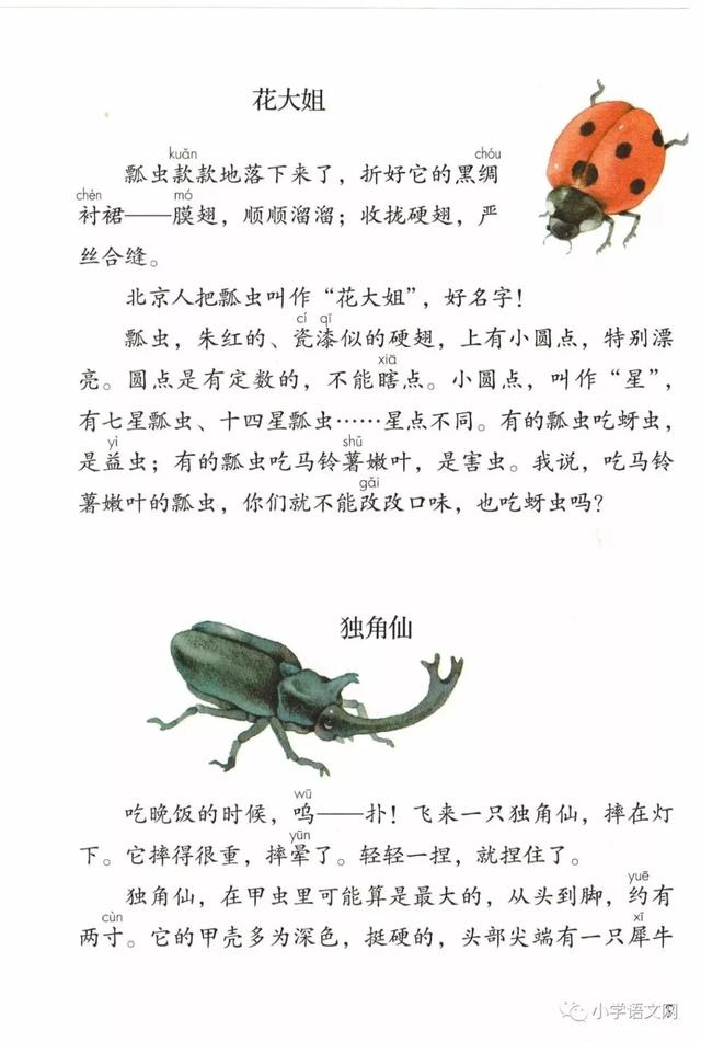 昆虫备忘录