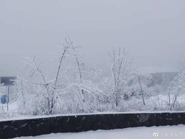 一组美图，共赏重庆雪景