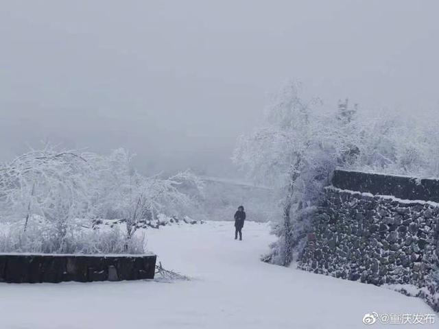 一组美图，共赏重庆雪景