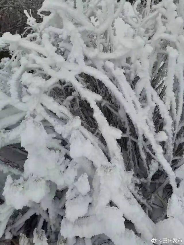 一组美图，共赏重庆雪景