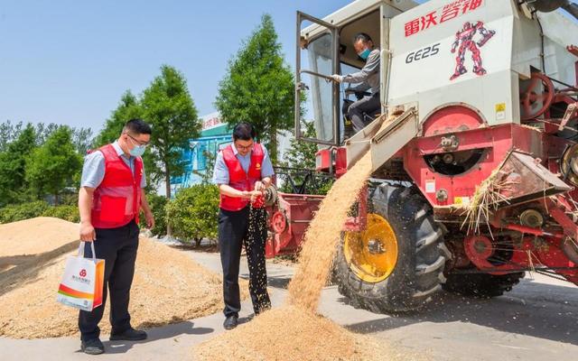 济宁全市农商银行：扛牢金融初心使命 助力打造乡村振兴齐鲁样板