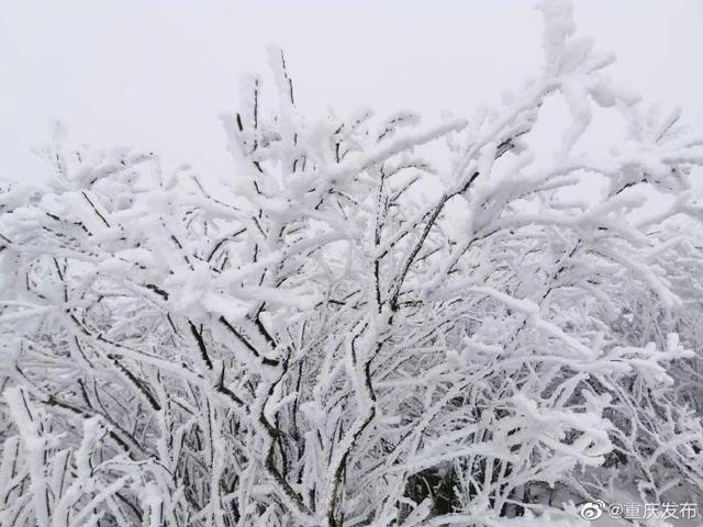 一组美图，共赏重庆雪景