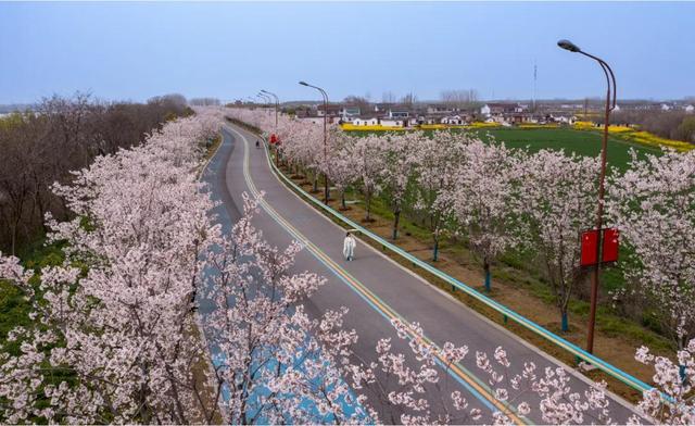 “烟花三月下扬州”十佳赏花地出炉，跟着榜单去打卡