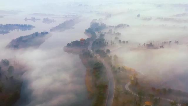 “烟花三月下扬州”十佳赏花地出炉，跟着榜单去打卡