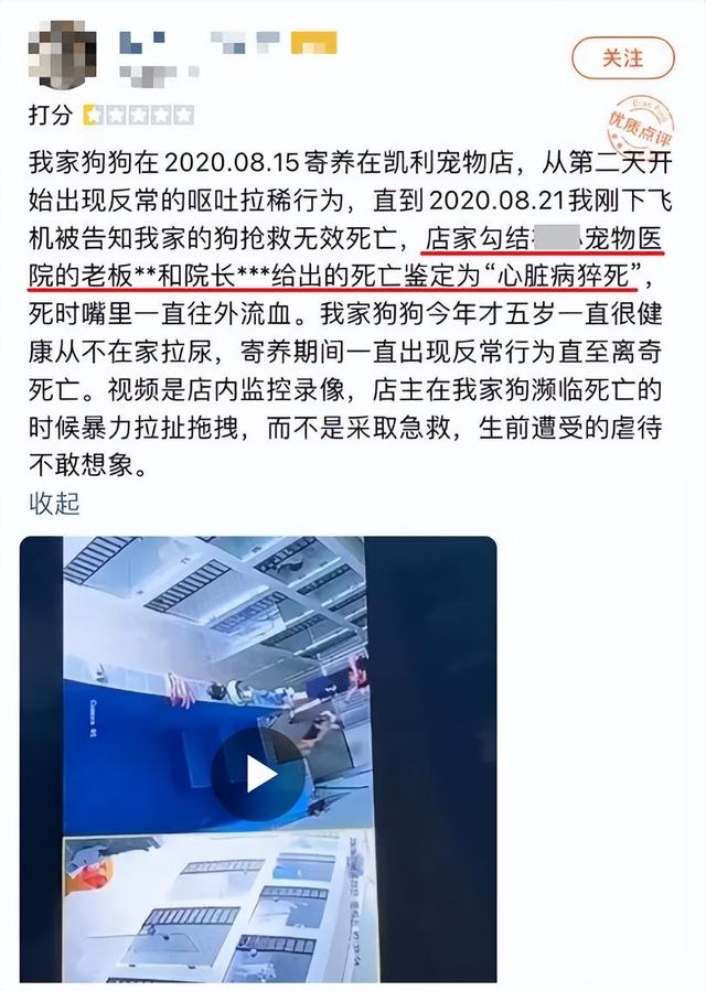 小狗狗不懂什么是寄养，它只会以为主人不要它了...