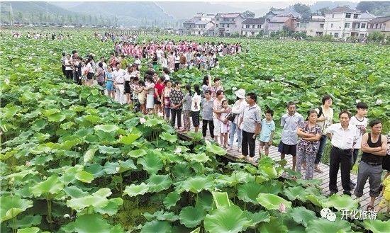 过年来开化这7个3A级景区村……