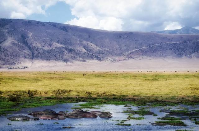 走进火山口，是惊吓还是惊喜