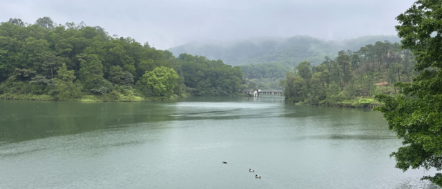 最美水库丨大西坑水库：在“天然氧吧”来个深呼吸