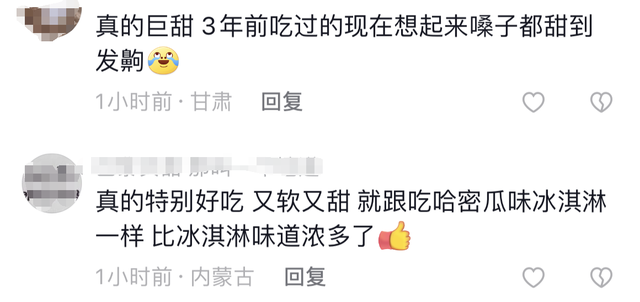 在捏海绵小伙现场展示新疆的“老汉瓜”汁水有多足！