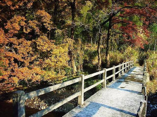 从化下溪村丹枫廊桥赏枫摘砂糖桔一日游，届时可顺路游览溪头村