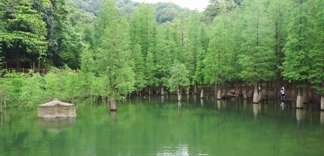 广州帽峰山晋级国家3A级旅游景区