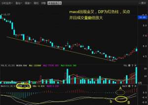 macd底背离(老股民总结：MACD底背离战法，成功率高于90%)