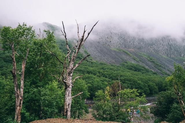 中华十大名山之一：东北长白山，夏季均温20度，风景美还适合避暑