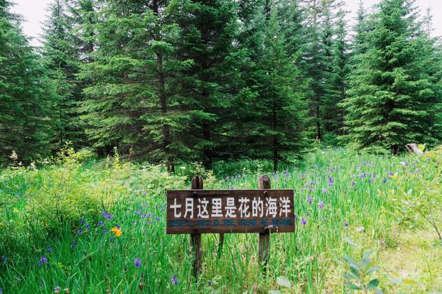 中华十大名山之一：东北长白山，夏季均温20度，风景美还适合避暑