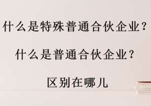 普通合伙人(什么是特殊普通合伙企业什么是普通合伙企业区别在哪儿)