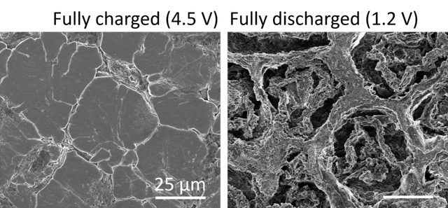 特斯拉拥抱台积电：7nm 自动驾驶芯片性能吊打英伟达