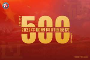 中国品牌榜(2022年度中国最具价值品牌500强排行榜完整名单)